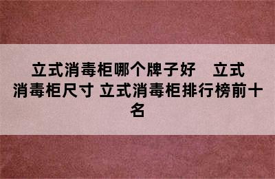 立式消毒柜哪个牌子好    立式消毒柜尺寸 立式消毒柜排行榜前十名